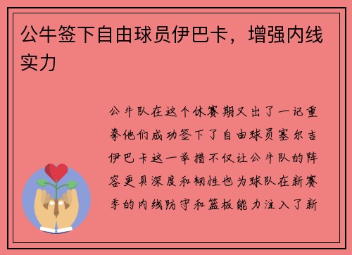 公牛签下自由球员伊巴卡，增强内线实力