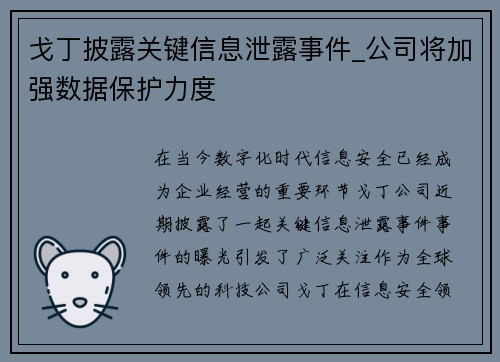 戈丁披露关键信息泄露事件_公司将加强数据保护力度